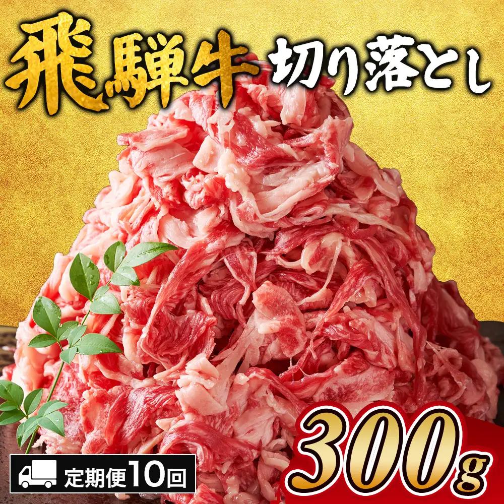 【10ヵ月定期便】飛騨牛切り落とし 300g ｜国産 和牛 牛肉