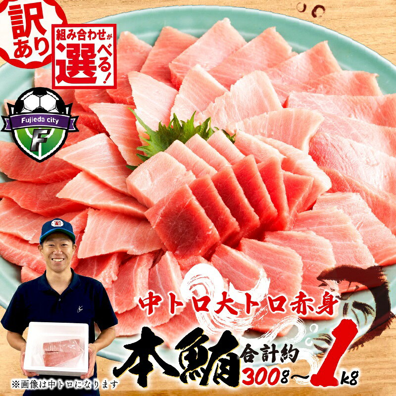 【ふるさと納税】 訳あり 本マグロ 中トロ 約400g 赤身 500g 大トロ 約300g 鮪 冷凍 本鮪 漬け丼 刺身 魚 鮮魚 海鮮 食品 まぐろ 不揃い 規格外 柵 魚介類 マグロ ネギトロ 10000円 1万円 高級 グルメ 贅沢 マグロセット 三種盛り 敬老の日 藤枝市 静岡県