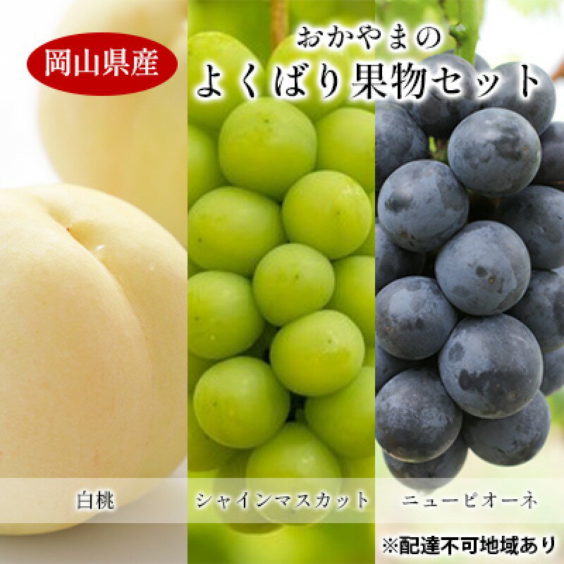 【ふるさと納税】桃 ぶどう 【2026年 先行予約】 よくばり 果物 セット 岡山 白桃 2玉 合計600g以上 シャインマスカット 2房 合計1.2kg以上 ニュー ピオーネ 2房 合計1kg以上 岡山県産 国産 フルーツ 果物 ギフト　お届け：2026年7月下旬～2026年8月下旬