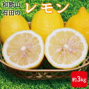 【ふるさと納税】【先行予約】和歌山県産 有田の 檸檬 ( レモン ) 3kg 【まごころ手選別】【国産 レモン 柑橘 フルーツ 和歌山】