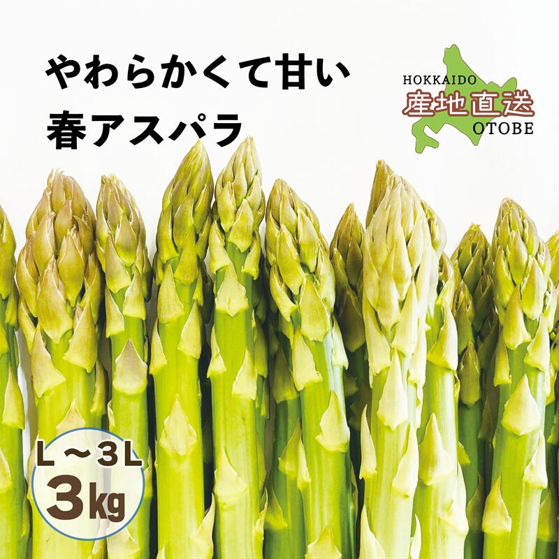 【ふるさと納税】＜北海道産 春採れグリーンアスパラ　3kg＞ 甘さ広がる春の味覚！ 北海道 北海道産 国産 産地直送 乙部町 旬 新鮮 採れたて 農家直送 あすぱら アスパラガス 野菜 冷蔵配送 L以上 お取り寄せ 送料無料