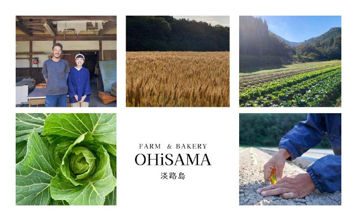 コシヒカリ５Kg＋イセヒカリ5Kg　玄米　栽培期間中農薬不使用　あいがも農法米