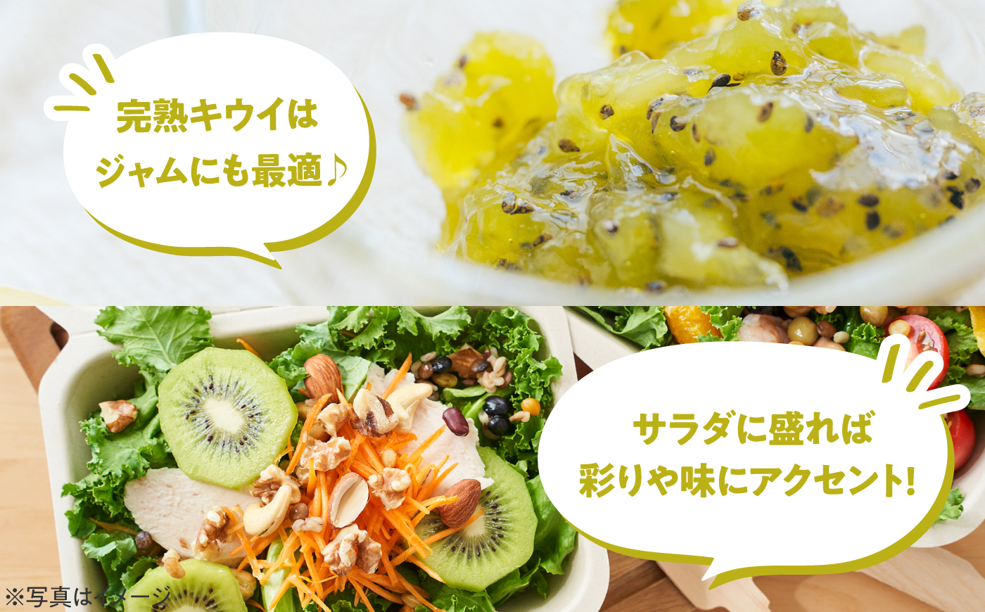 【先行予約】【2026年11月中旬から順次発送】【訳あり】栄養たっぷり！愛媛のグリーンキウイ 2kg （約15玉から20玉） グリーンキウイ キウイ キウイフルーツ フルーツ ヘイワード 果物 くだも