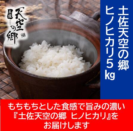 【ふるさと納税】農林水産省の「つなぐ棚田遺産」に選ばれた棚田で育てられた棚田米　土佐天空の郷　ヒノヒカリ　5kg　お米・ヒノヒカリ