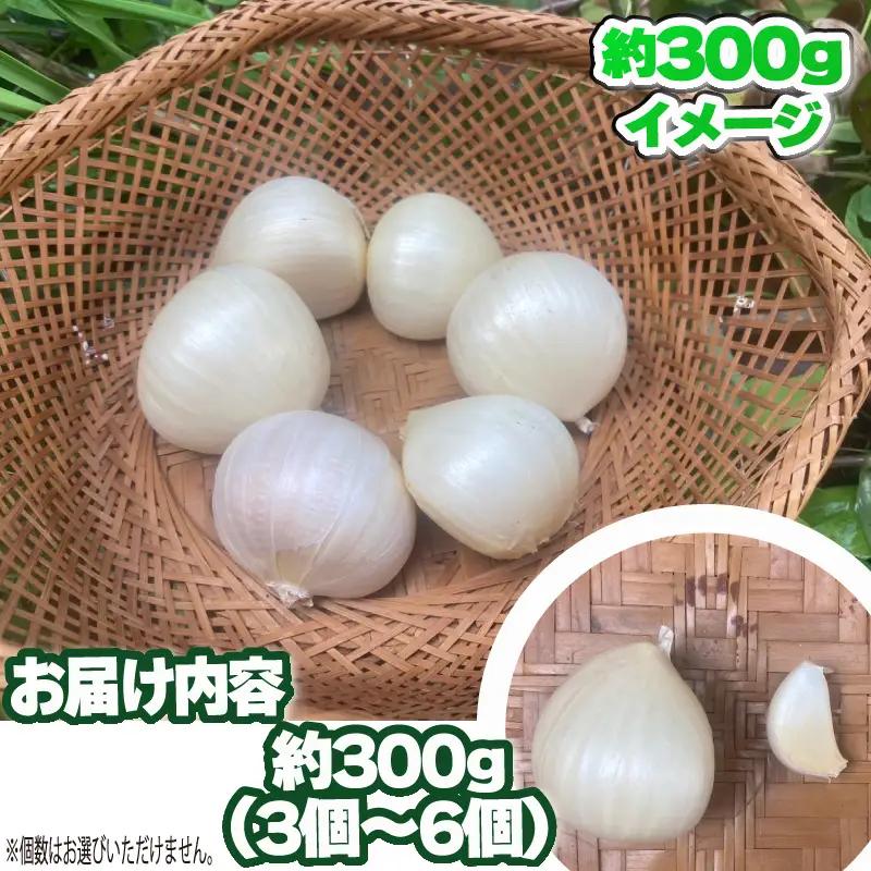 ジャンボにんにく 300g（3～6個）ニンニク