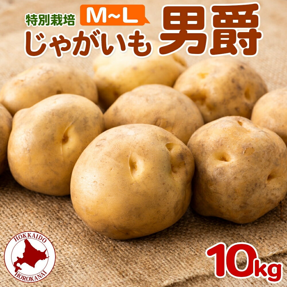 【ふるさと納税】＜2025年秋以降出荷＞ 北海道 じゃがいも 男爵 M～L 約10kg 特別栽培 ジャガイモ 馬鈴薯 だんしゃく 芋 いも イモ ポテト 野菜 根菜 農作物 国産 甘い 冬野菜 お取り寄せ 産地直送 北海道産 送料無料　お届け：2025年10月～2026年1月末頃までお届け
