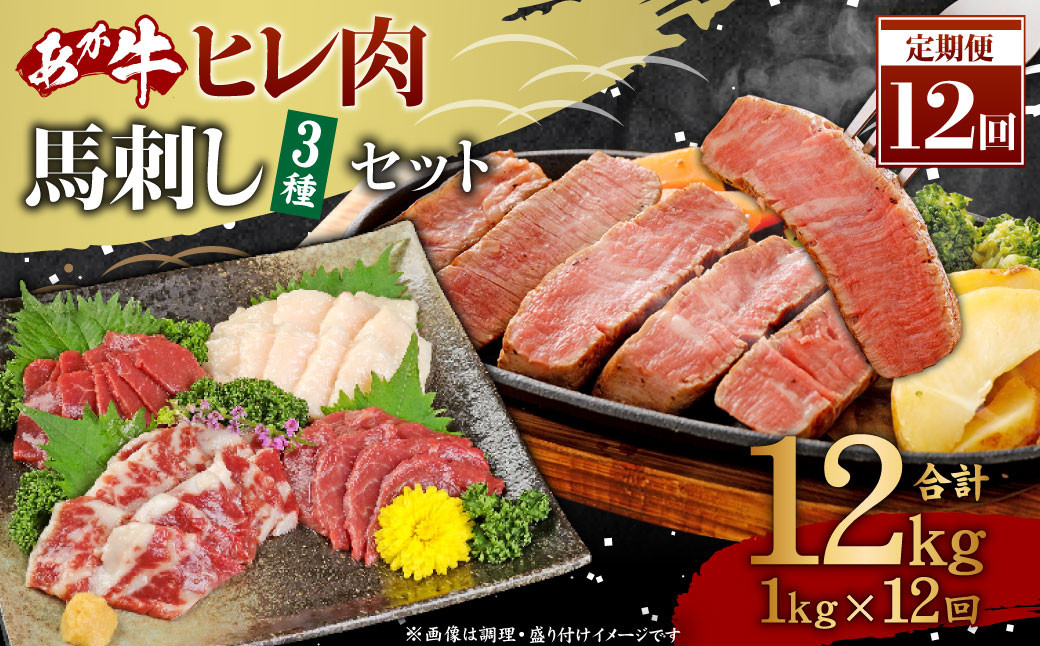 【12ヶ月定期便】あか牛ヒレ肉800g（6枚前後）馬刺し200g（赤身100g、霜降り50g、たてがみ50g）