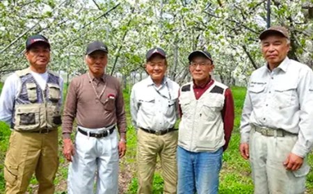 先行予約 さくらんぼ 佐藤錦 500g 秀 Lサイズ以上 令和8年産  kb-snkzx500