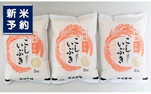 【新米受付・令和7年産米】 こしいぶき 白米6kg（2kg×3） 新潟県村上市岩船産　1067102N
