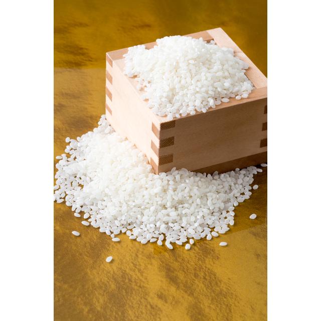 ふるさと納税 沼田市 【5kg】天狗印厳選米「コシヒカリ100」令和6年産 |  | 03