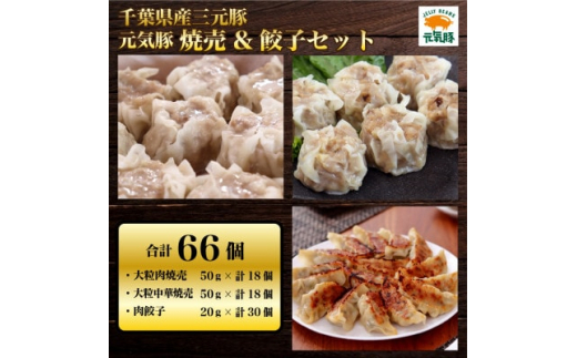 
元気豚　焼売&餃子セット(合計66個)【1459598】
