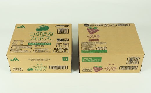 つぶらなカボス30本＋つぶらなブドウ30本（計60本・各1ケース）190g ／ つぶらな つぶらなカボス つぶらなブドウ ジュース 2ケース かぼすドリンク 清涼飲料水 人気 果汁飲料 かぼす ぶどう