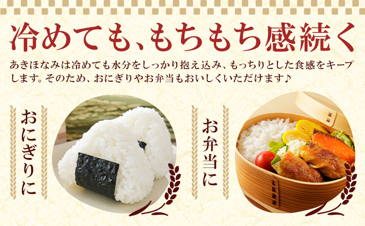 お米 無洗米 あきほなみ 5kg×2袋 有限会社 谷口商店 《30日以内出荷予定(土日祝除く)》鹿児島県 さつま町 無洗米 ごはん