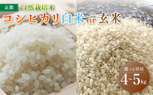 
            【令和6年度産 新米 】 自然栽培米 こしひかり 5kg / 4kg （2kg×2） 白米 / 玄米 ： 17,000～20,000円 選べる 容量 精米方法 お米 コシヒカリ 京都産 舞鶴産 自然栽培 精米 米 農家直送 コメ ご飯 健康 自然
          