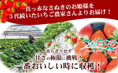 いちご 朝採り さぬきひめ 1kg いちご 苺 苺 配送：2026年1月～