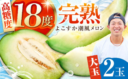 【先行予約】【数量限定】よこすか潮風メロン 大玉4L 2玉セット 計約3kg めろん フルーツ 果物 ネットメロン 贈答 希少 産地直送 横須賀【井上農園】 [AKDJ001]