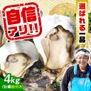 【ふるさと納税】牡蠣 殻付き かき カキ 特選 牡蠣三昧！ 【生牡蠣】広島牡蠣　殻付き4kg 人気 かき 広島 料理 簡単 レシピ 海鮮 ギフト 広島県産 江田島市/株式会社門林水産[XAO010]