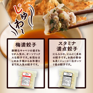 ２種類の定番餃子５袋セット_Cx219