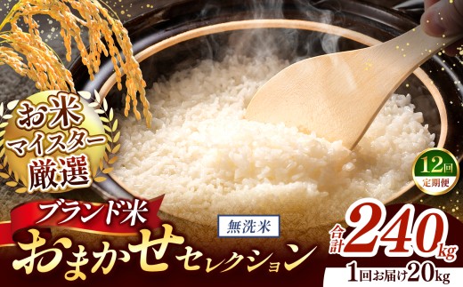 【 令和7年産 】おまかせ セレクション 【定期便12回】熊本県産 無洗米  ＜ひのひかり / 森のくまさん / くまさんの輝き ＞ 20kg  | 単一銘柄 米 単一米 お米 こめ 小分け 人気 コメ お米 5kg 10kg 15kg 20kg 25kg 30kg 定期便 3回 6回 12回 ブランド米 菊池川流域 家庭用 送料無料 熊本 くまもと 熊本県 和水 和水町 人気 ごはん