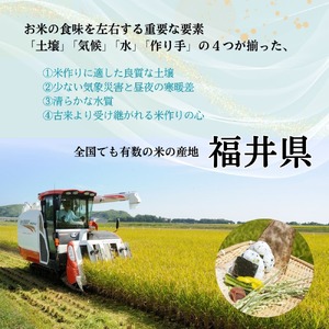 福井県産いちほまれ 米 5kg [B-187002] / 食品 ご飯 お米 白米 いちほまれ ブランド米 米 コメ こめ 精米 白米 5キロ 令和7年 令和七年 7年 七年 一等米