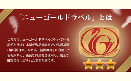 羽毛布団【DL（ダブルロング）】ハンガリー産ホワイトダックダウン85％ ピンク系