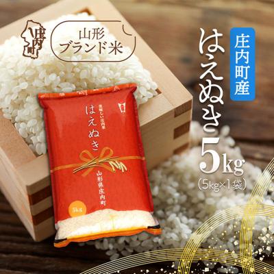 ふるさと納税 庄内町 庄内町産 はえぬき 5kg 令和7年産 2025年産 ブランド米