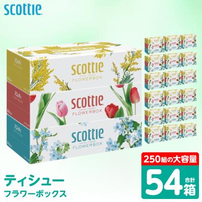 ふるさと納税 八代市 ティッシュ 250組 54箱 フラワーボックス 日用品 スコッティ_186-6353
