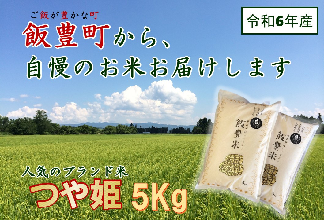 
山形県の人気ブランド米　つや姫　白米　5kg（令和6年飯豊町産）
