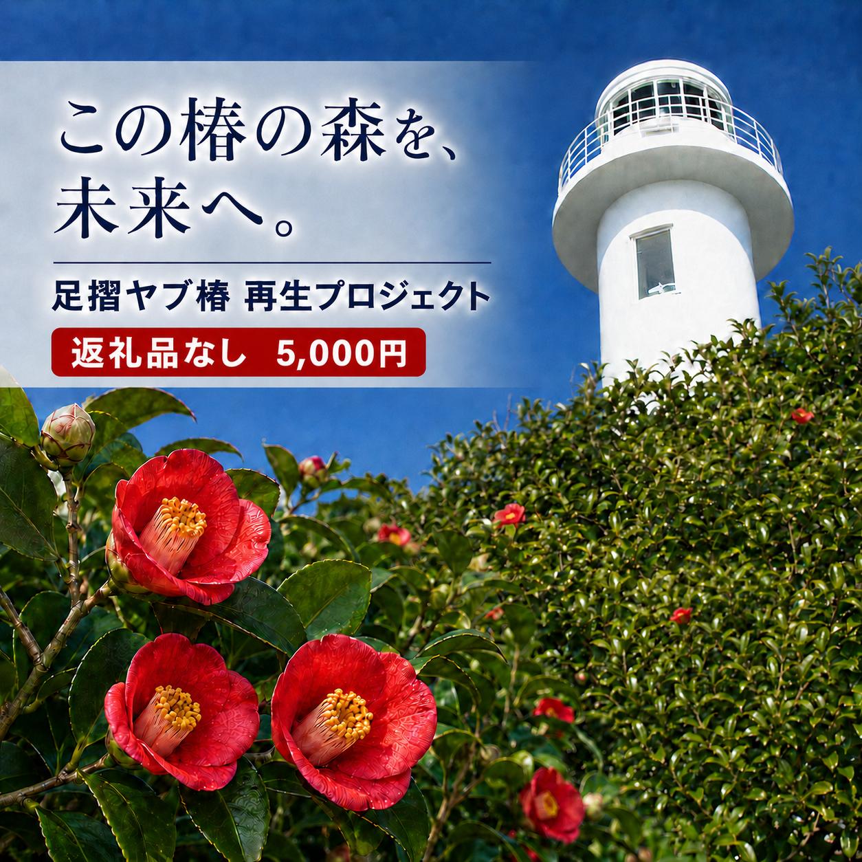 
                  足摺ヤブ椿再生プロジェクト 応援一口 5,000円（1,500円分） ※返礼品なし※ 自然保護 椿 つばき ツバキ 藪椿 ヤブツバキ クラウドファンディング 募金 環境保護 SDGs 高知県【R01751】
                
