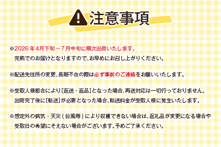 数量限定 宮崎県産 完熟マンゴー＜太陽のタマゴ＞4L×2玉 計1kg以上 ※2026年4月下旬配送開始 化粧箱入 フルーツ くだもの【E169-26】