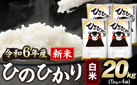 令和6年産 新米 早期先行予約受付中 ひのひかり 白米 20kg 《11月-12月より出荷予定》 白米 精米 熊本県産(南阿蘇村産含む) 単一原料米 南阿蘇村