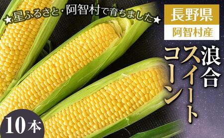 【先行予約】浪合スイートコーン | 野菜 とうもろこし トウモロコシ コーン 信州 長野