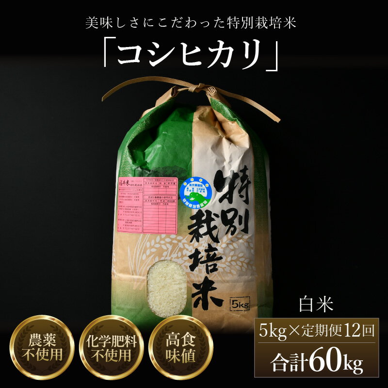 【ふるさと納税】【先行予約】【令和8年産 新米】定期便《12ヶ月連続お届け》コシヒカリ 精米 5kg （計60kg）特別栽培米 農薬不使用 化学肥料不使用 ／ 米 お米 定期便 5キロ 残留農薬ゼロ 高品質 鮮度抜群 福井県産 ブランド米 白米 ※2026年10月上旬以降順次発送