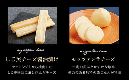 チーズオールスターズ定期便全2回 【 チーズ 乳製品 カマンベール チェダー ゴーダ 】 OSA023