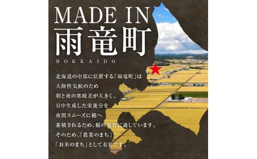 ※5～7営業日以内発送※ 令和8年産 北海道産 ななつぼし 精米 10kg 特A 雨竜町 お米 米 厳選 人気 ＜ フジエファーム ＞_R8U002-003-5D