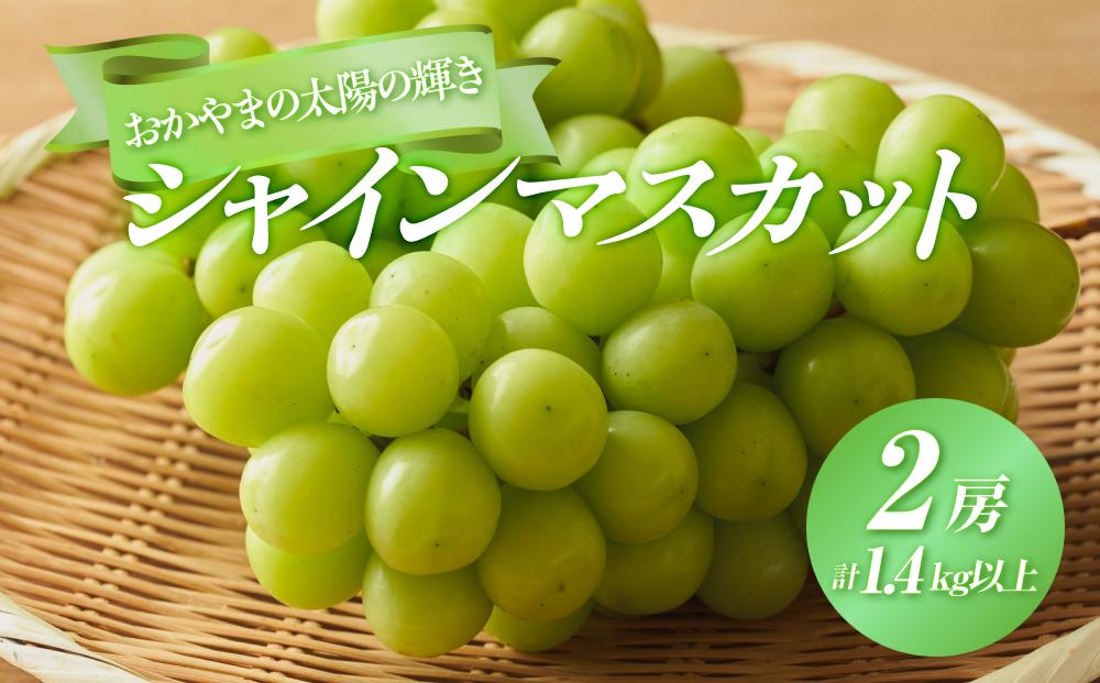 ぶどう 2025年  おかやまの太陽の輝き シャイン マスカット 2房 合計1.4kg以上 マスカット ブドウ 葡萄  岡山県産 国産 フルーツ 果物 ギフト