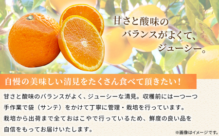 ＜おはこやがつくる 清見 約2kg（L～3Lサイズ）＞ 果物 フルーツ 柑橘 清見タンゴール みかん 特産品 西宇和 愛媛県 西予市【常温】『2026年3月上旬～3月下旬迄に順次出荷予定』MOK002