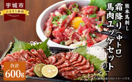 熊本 馬刺し 霜降り(中トロ) 300g＋馬肉ユッケ 300g 合計600g セット ユッケたれ 小分け 小袋たれ 小袋生姜付き 中トロ馬刺し 霜降り馬刺し 熊本馬刺し 馬刺し堪能 馬刺し専門店