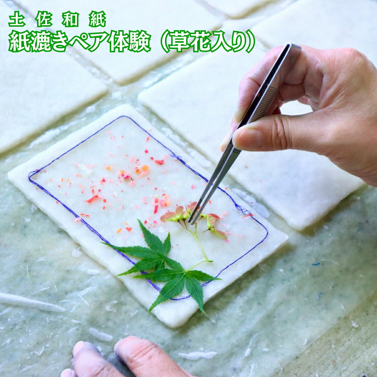 【ふるさと納税】紙漉き体験（草花入り）ペアチケット