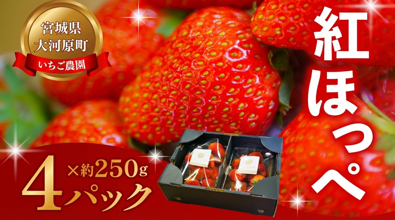 
                  【2027年度先行予約】大河原町のいちご 完熟いちご 4パック 果物 フルーツ 苺 紅ほっぺ かおり みずみずしい ジューシー 期間限定 季節限定 いちご 小分け
                