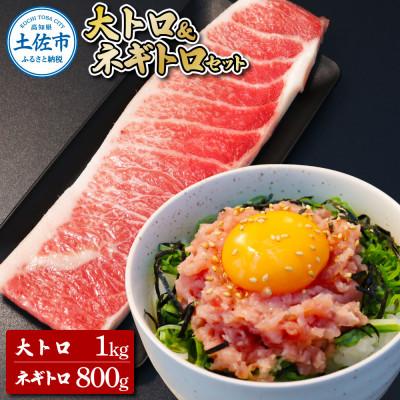 ふるさと納税 土佐市 本鮪　大トロ1Kg、ネギトロ800g(200g×4)　合わせて1.8kg