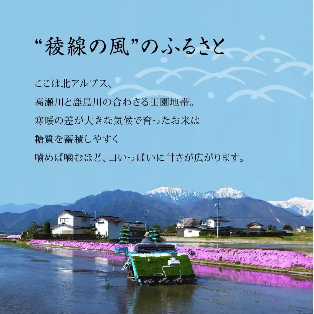 【信濃大町産】稜線の風（コシヒカリ） 玄米30kg | 米 コシヒカリ 新米 長野 信州