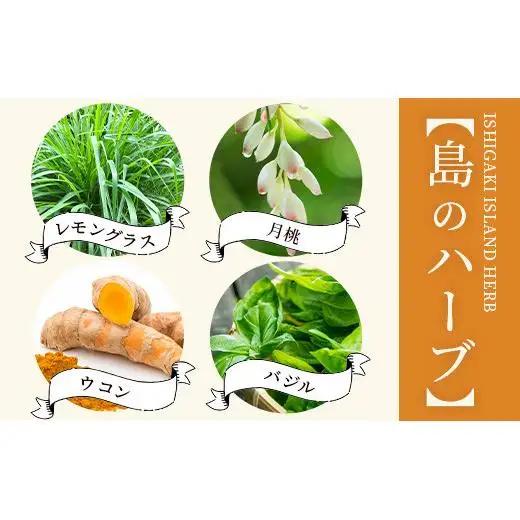 調味料セット チャンプルの素25g＋ハーブ楽塩23g＋ドラゴンペッパー15g　瓶入×3本　PN-4