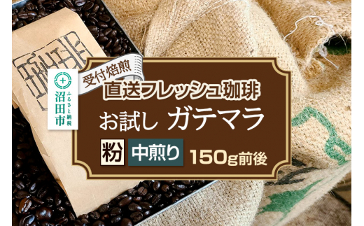 《受付焙煎》直送フレッシュ珈琲 お試し ガテマラ【粉／中煎り】約150g 珈琲倶楽部 沼田店 [コーヒー 珈琲 coffee]
