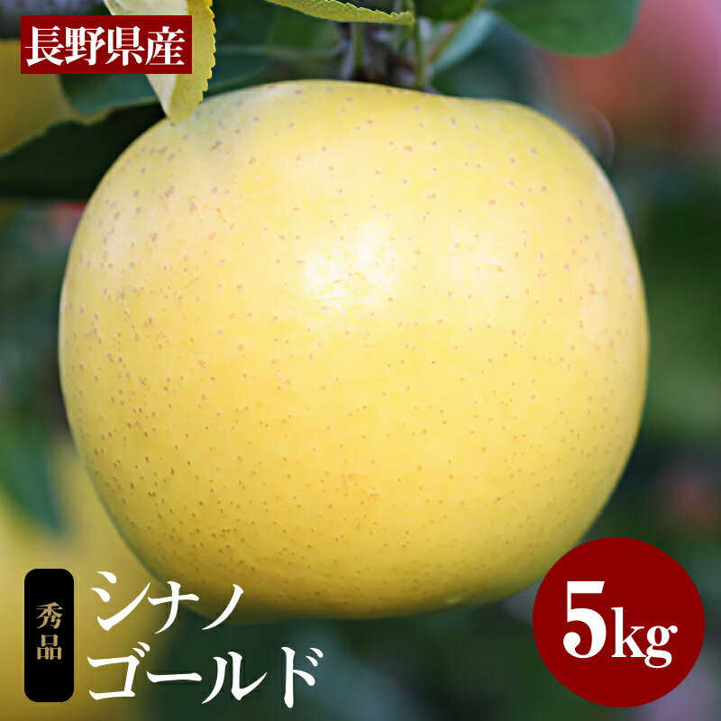 【ふるさと納税】 りんご シナノゴールド 黄色のりんご ジューシー な 黄金色 りんご シナノゴールド 約5kg 秀品〈2025年10月下旬〜11月下旬発送〉| 果物 くだもの フルーツ りんご 黄金食りんご シナノゴールド 長野県 信州 南信州 飯田市 B03