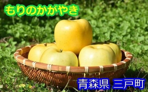 希少！りんご【もりのかがやき】約5kg（10～20玉）【2025年産・先行予約】★2025年10月上旬～10月下旬頃まで発送予定★ 青森県三戸町産