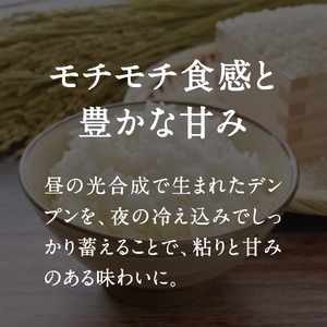 令和8年産 新米 先行予約 鳥取県日南町産コシヒカリ 定期便 5kg×3か月(合計15kg) 新屋のひとしずく ～野組450～ 米 お米 おこめ 精米 こしひかり