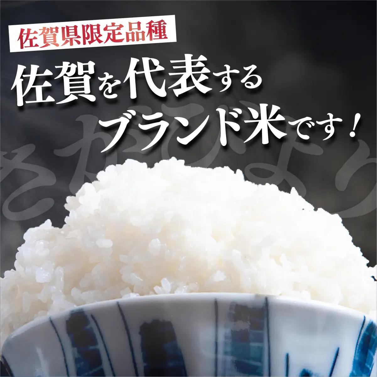 さがびより 白米 10kg×6回