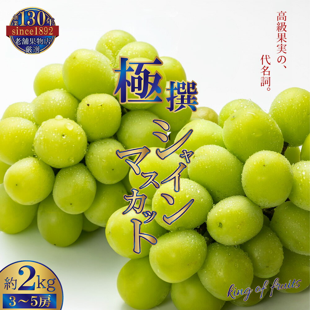 【ふるさと納税】極撰 シャインマスカット 約2kg [ フルーツ 果物 マスカット ぶどう 種なし 皮ごと シャインマスカット お取り寄せ デザート 冷蔵配送 老舗果物屋 20,000円 台 返礼品 香川県 三豊市 北浜商店 ]