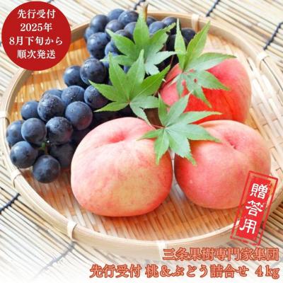 ふるさと納税 三条市 先行受付 季節の桃&amp;ぶどう詰合せ 約4kg [9月上旬から発送予定] 新潟県 【038P006】